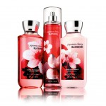 Bath-&-Body-Works-Signature-Collection–Japanese-Cherry-Blossom-Range