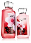 Bath-&-Body-Works-Signature-Collection–Japanese-Cherry-Blossom-Shower-Gel-&-Body-Lotion