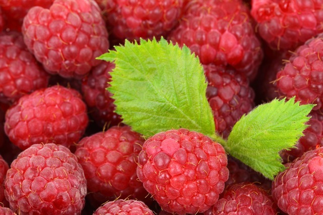 Raspberries-2276_640