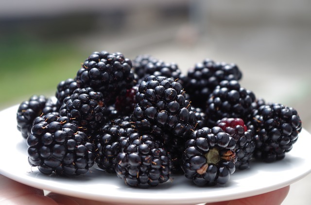 blackberries-1045728_640