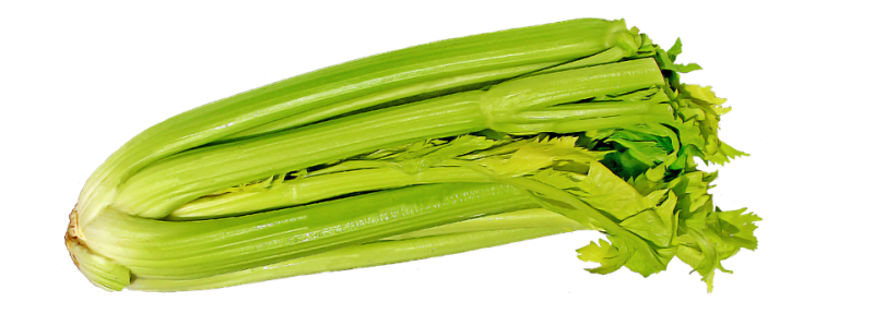 celery-692867_960_720