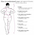 How-to-understand-your-proportions1-700×731
