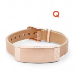fossil Q dreamer
