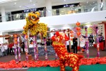 Acrobatic Lion Dance