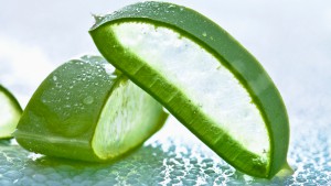 Beauty Benefits of Aloe Vera