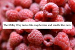 universe-tastes-like-raspberries