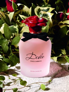 DGFF_Dolce Rosa Excelsa_portrait