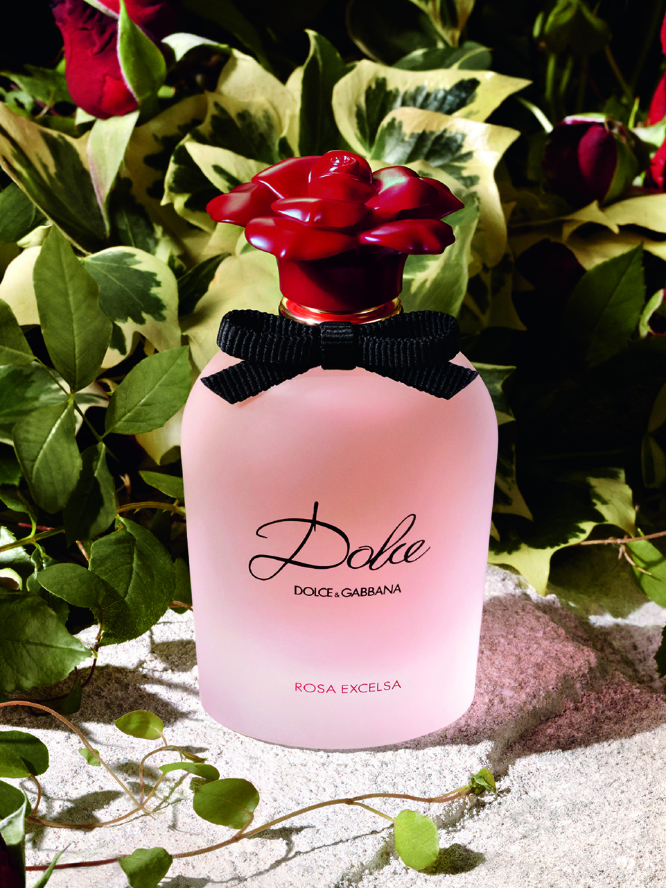 Dolce Rosa Excelsa: New Fragrance with Fresh Floral Scent by Dolce ...