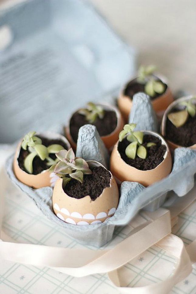 Image: pinterest.com