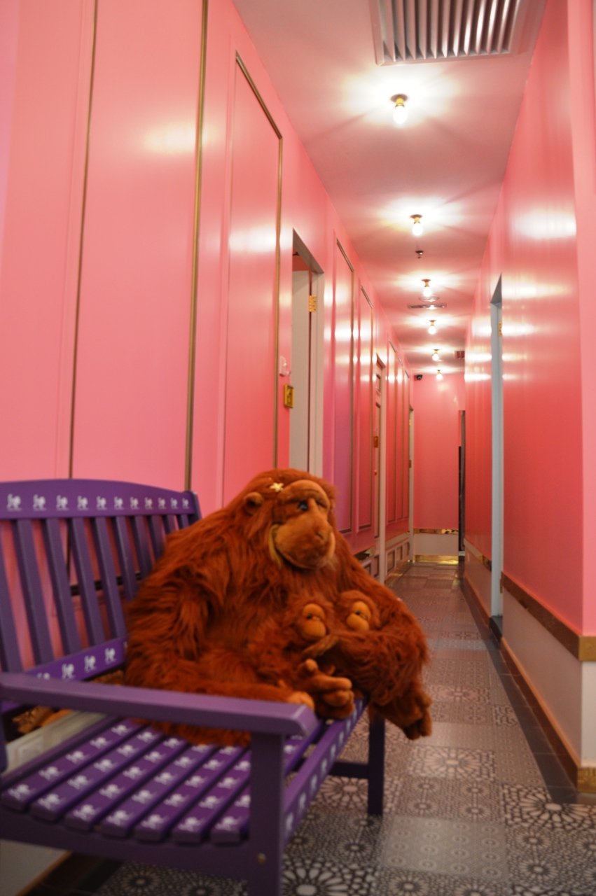 Corridor of private rooms for STRIP customers