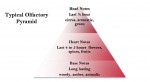 Fragrance Note Chart