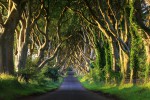 Viator – Bregagh Road, Northern Ireland