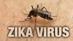 zika-virus-2