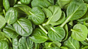 health-benefits-of-spinach-1024x576 (Image: ottmag.com)