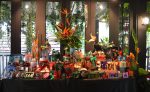 Give Back With The Body Shop’s Wildest Christmas! – Pamper.My