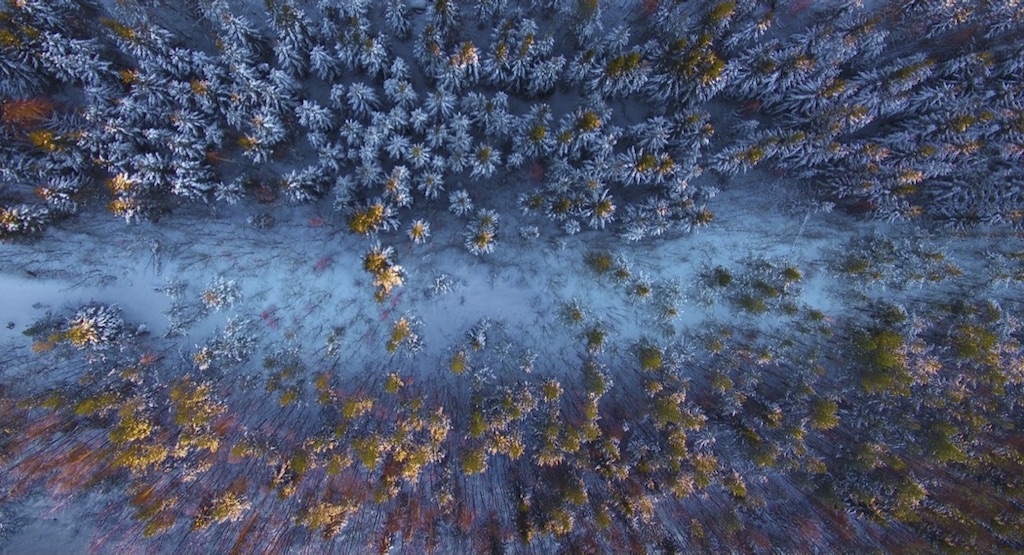 barskog-by-atle-goutbeek-skypixel-drone-photo