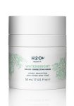 Waterbright Color Correcting Mask