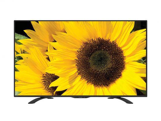 Go Shop Turns 2: Sharp 50-inch TV - Pamper.My