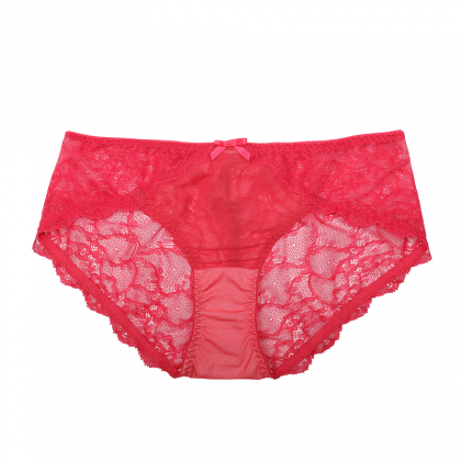 XIXILI Isabelle Collection: Sheer Bikini Panty - Pamper.My