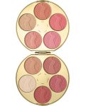 Tarte Color Wheel Amazonian Clay Blush Palette – Pamper.My