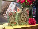 Diptyque Rosa Mundi Collection Candle – Pamper.My