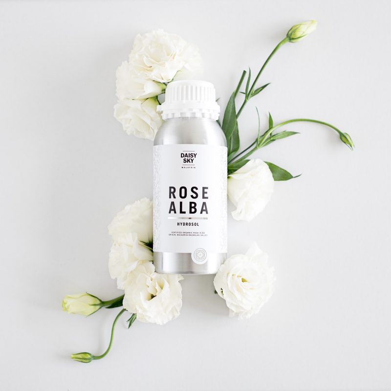 Daisy Sky Malaysia Bulgarian Rose Alba Hydrosol Review - Pamper.My