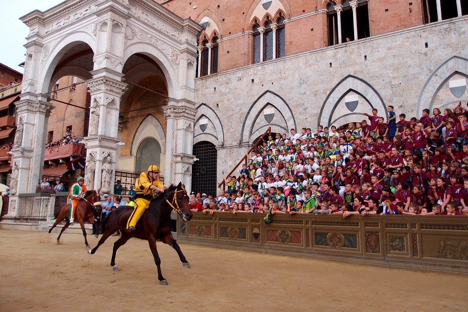 palio horse race