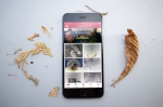carousell