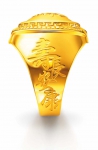 Longevity Gold Ring2