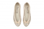 18. India Large in Champagne Glitter_2