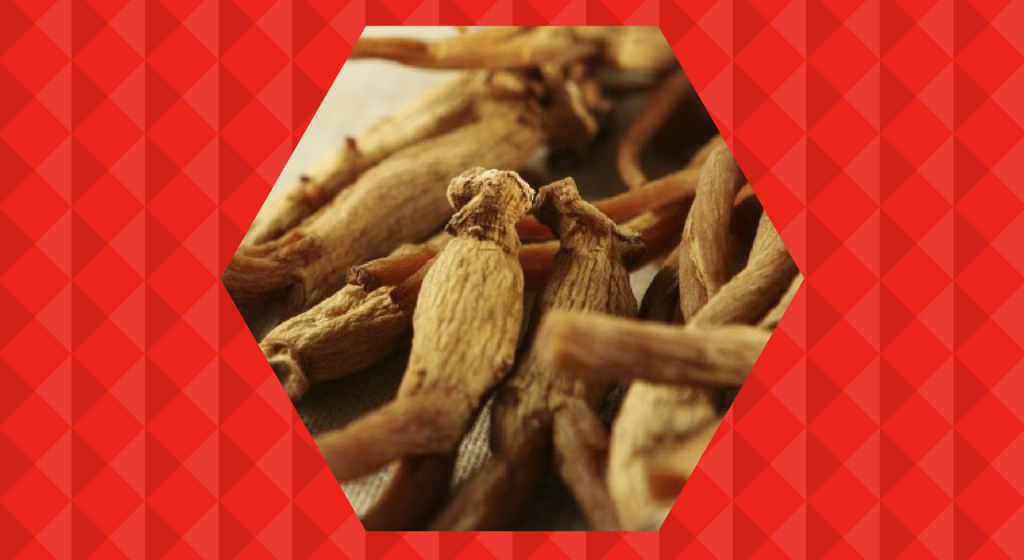 6 Benefits of Red Ginseng and Horse Oil For Your Skin-Pamper.my