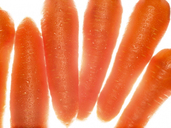 WASO by Shiseido ingredient, Carrot-Pamper.my