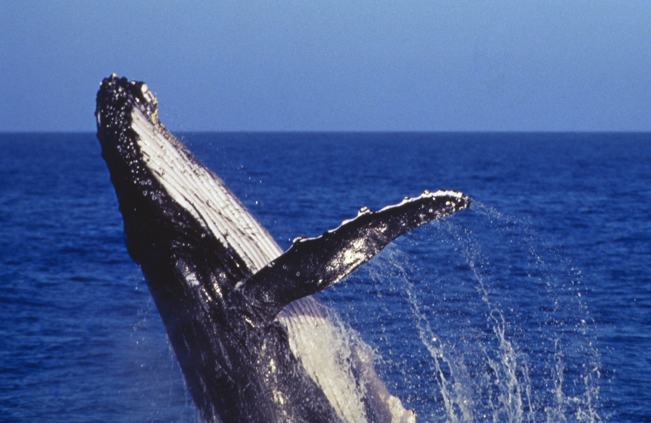 Image credit: Tourism Australia