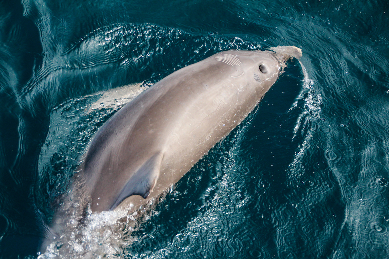 Image credit: Tourism Australia