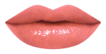 17RU_LipChart_BG931