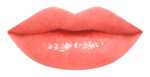 17RU_LipChart_CR324