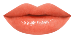 17RU_LipChart_CR332