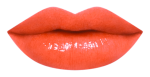 17RU_LipChart_OR560