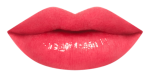 17RU_LipChart_PK363