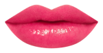 17RU_LipChart_PK369