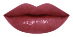 17RU_LipChart_WN288