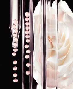 Start Your Skincare With The Decadent Dior Prestige La Micro-Huile de Rose-Pamper.my