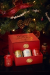 12 Days of Christmas Gift Box – Moodshot (2)