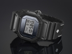 DW-5600PGB-1_1