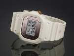 DW-5600PGW 7_1