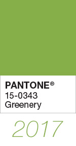 Pantone's Colour Of The Year For 2017 Is 'Greenery'-Pamper.my