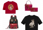 versace audrey capsule collection