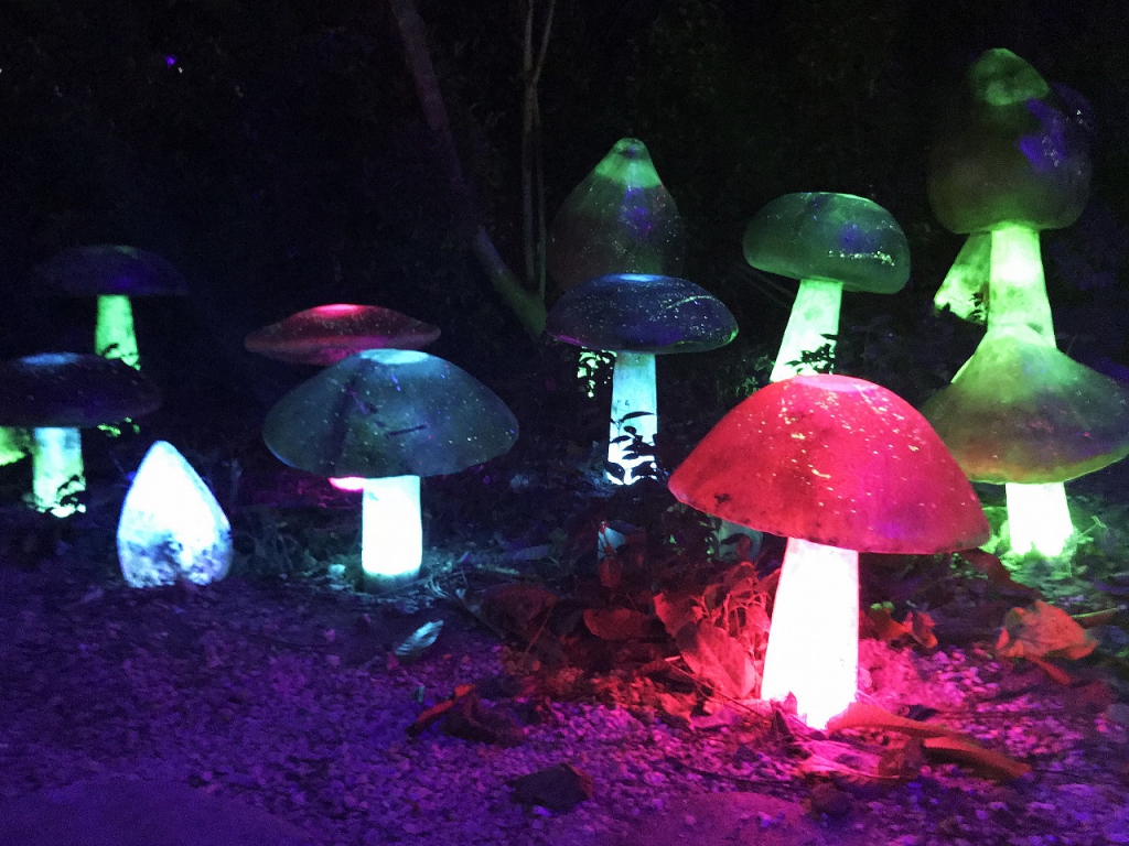 Enter An Illuminated World At The Lost World Of Tambun's 'Luminous Forest'-Pamper.my