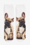 Sassa sock