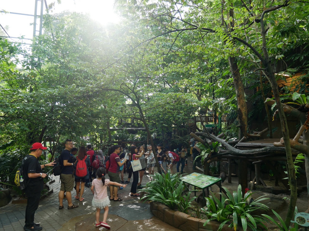 #Scenes: Meet The First White Tiger Cubs At Sunway Lagoon As You Enjoy The Wildlife Park's Walk & Hunt in the Wild Campaign-Pamper.my